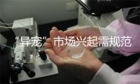 “异宠”市场兴起需规范引导，全国宠物经济相关企业超过469万家